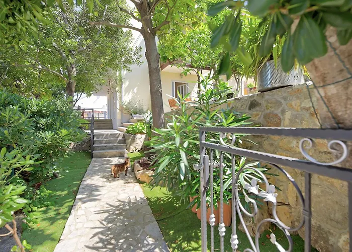 Bojana Apartments